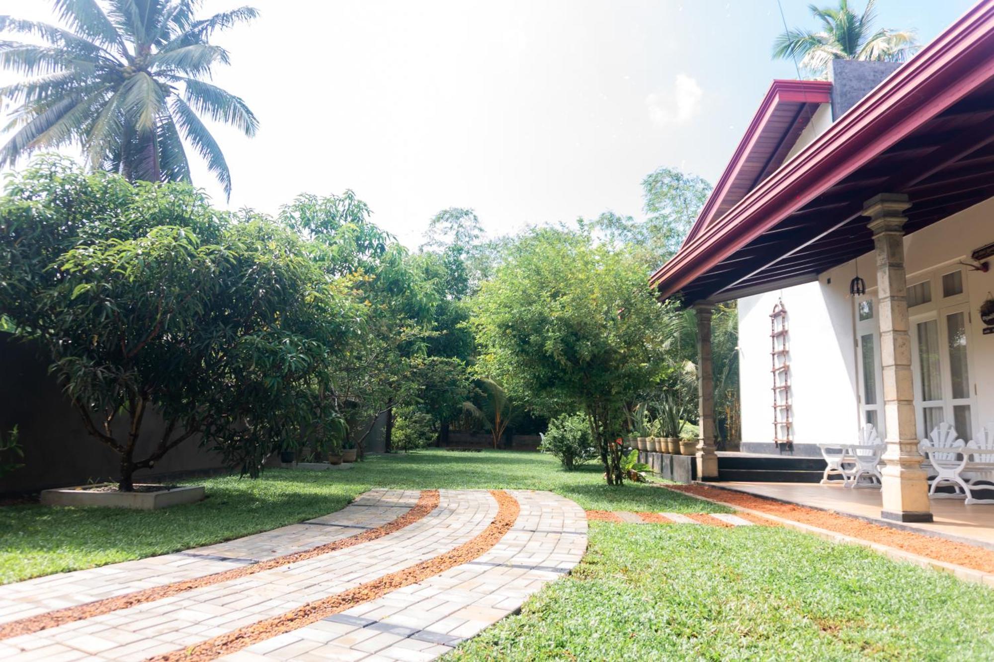 Villa Tropical Oasis 巴勒皮蒂耶 外观 照片